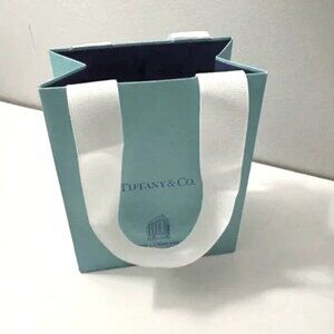 Tiffany Landmark Bag
